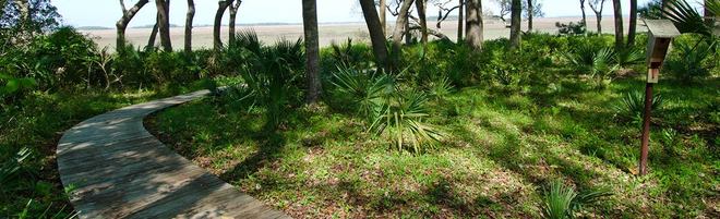 Preview Landscape Architecture Services in Savannah GA