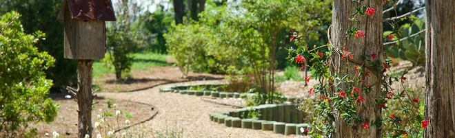 Preview Landscape Architecture Services in Savannah GA