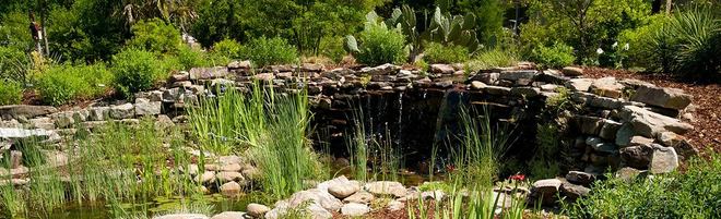 Preview Landscape Architecture Services in Savannah GA