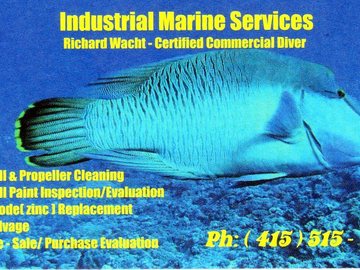 Offering: Diver/Hull Cleaning/Propeller Removal & Replacement