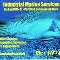 Offering: Diver/Hull Cleaning/Propeller Removal & Replacement