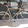 Daily Rate: Large fixie