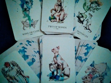 Selling: 6 month tarot reading by email.