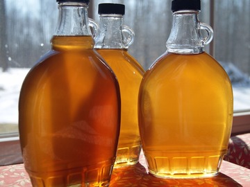 Coaching Session: Maple Syrup Making