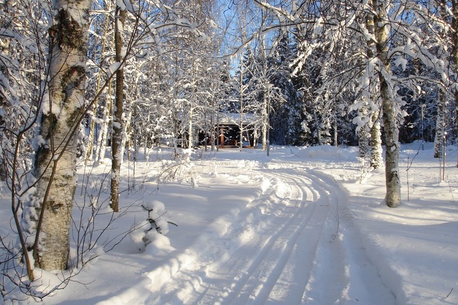 Hotelli Nuuksion elämyksellinen yö
