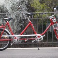 Tandem bicycle rental: Tandem "Rixi" mieten in Leipzig