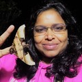 Free Listing: Day out with Dr. Shubhalaxmi- Moth Lady of India!