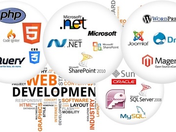 Services: Software Development Services: Web, mobile, IT, UI/UX