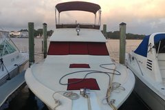 Selling: 1981 Sea Ray 355T
