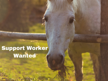 Seeking Support Worker etc.: Support Worker Wanted 