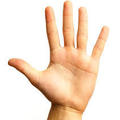 Selling: PALM READING 