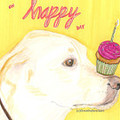 Selling: Labrador Photo Greeting Card