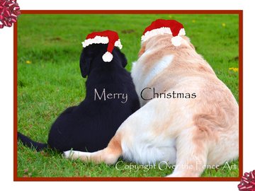 Selling: Labrador Christmas Card