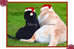 Selling: Labrador Christmas Card