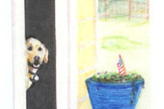 Selling: Funny Labrador Photo Greeting  Card