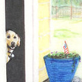 Selling: Funny Labrador Photo Greeting  Card