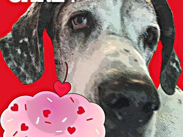 Selling: Funny Great Dane Art Birthday Card