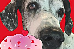 Selling: Funny Great Dane Art Birthday Card