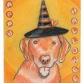Selling: Labrador Art Halloween Greeting Card