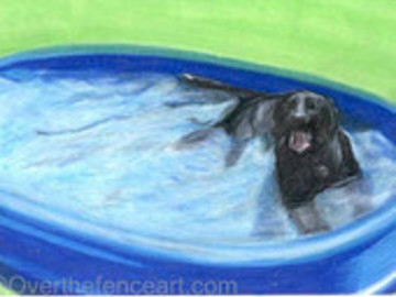 Selling: Labrador Photo Greeting Card