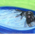 Selling: Labrador Photo Greeting Card