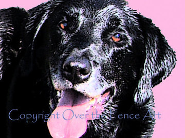 Selling: Funny Labrador Photo Greeting Card