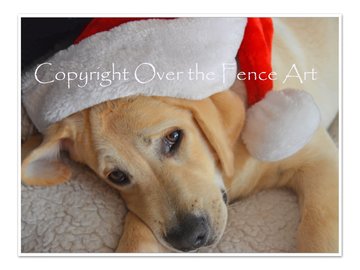 Selling: Labrador Art Christmas Greeting Card