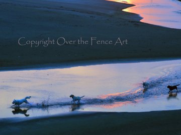 Selling: Funny Labrador Photo Greeting Card