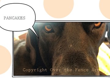 Selling: Great Dane Requests Pancakes Funny Greeting Card