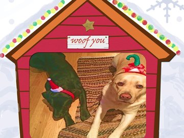 Selling: Labrador Art Christmas Greeting Card