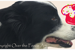 Selling: Border Collie Celebrates with  a Cupcake Card