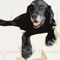 Selling: Labrador Photo Greeting Card