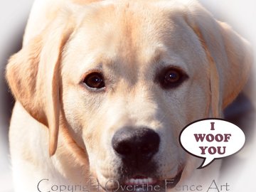 Selling: Happy Labrador Photo Greeting Card