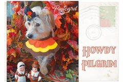 Selling: Howdy Pilgrim