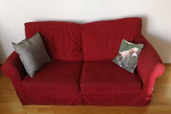 Comfy Sofa Bed Aalto Marketplace Comfy Sofa Bed