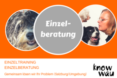 Dienstleistung: Einzelberatung/Einzeltraining für Menschen mit Hund