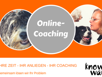 Dienstleistung: Online Coaching für Menschen mit Hund