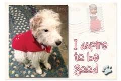 Selling: I Aspire to be Good