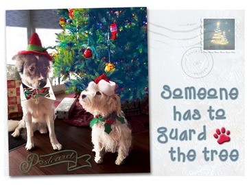 Selling: Someone Has to Guard the Tree