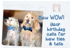 Selling: Birthday Bow Ties and Tails
