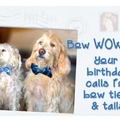 Selling: Birthday Bow Ties and Tails