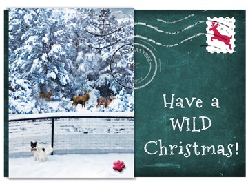 Selling: Have a Wild Christmas