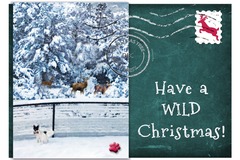 Selling: Have a Wild Christmas