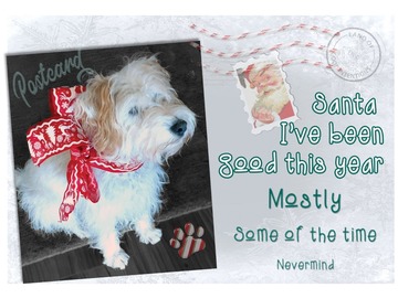 Selling: Santa I've Been Good. . .