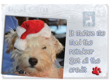 Selling: Makes Me Mad the Reindeer Get the Credit