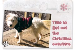 Selling: Time to Get Out the Christmas Sweaters