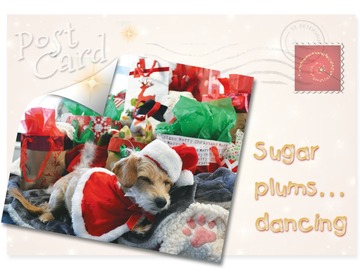 Selling: Sugar Plums Dancing