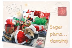 Selling: Sugar Plums Dancing