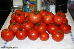 pay online or by mail: Quinte canning tomato