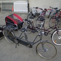 Tandem bicycle rental: Perlerad-Tandem normal in der Lausitz